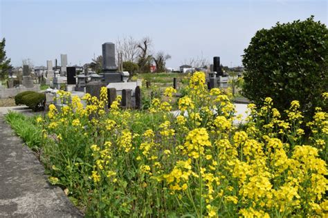 土葬 墓地|日本での土葬は可能？やり方と世界の埋葬方法 